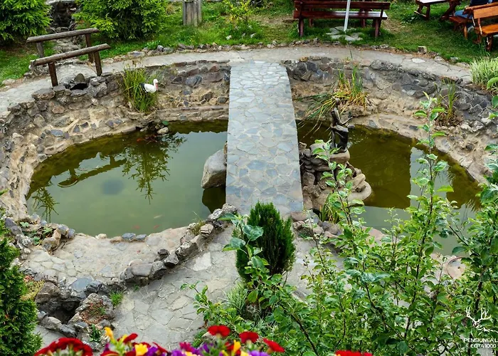 Pensiunea LIN COTA 1000Pensiune