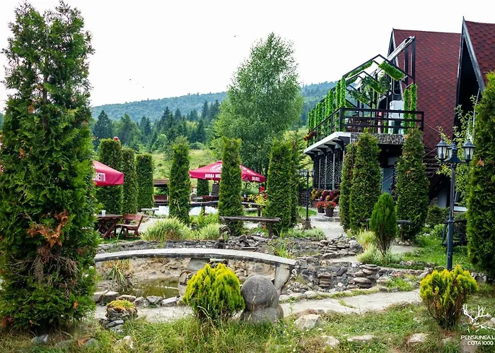 Pensiunea LIN COTA 1000Pensiune